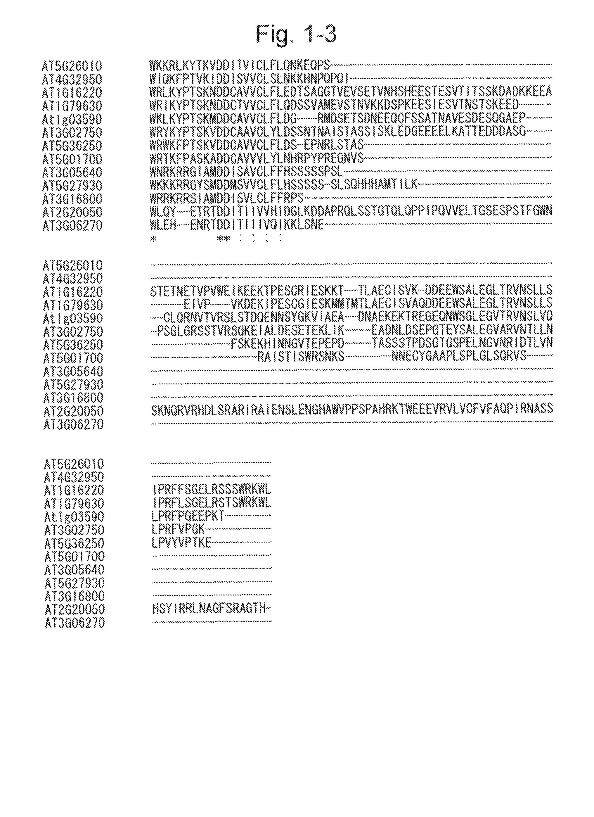 Method for increasing the production of plant biomass and/or seeds and method for producing plant capable of producing increased amount of biomass and/or seeds