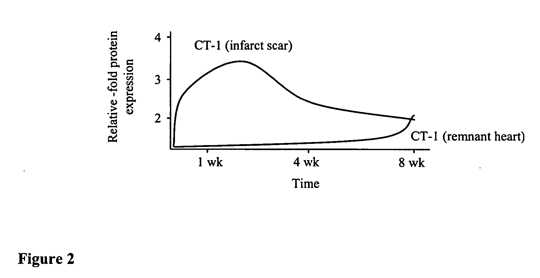 Use of cardiotrophin-1 to promote wound healing and counteract overt fibrosis