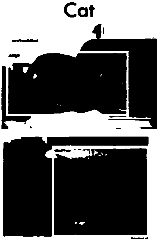 Method, device and system for automatically labeling target object in image