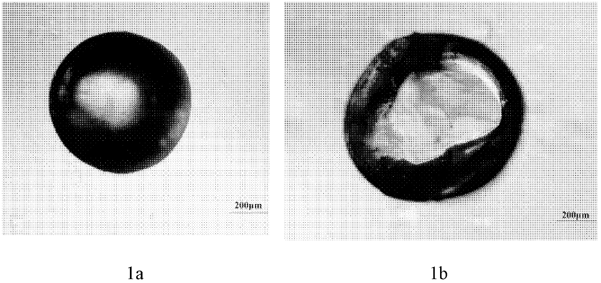 Embolization particles developable under X-rays and preparation method and application thereof