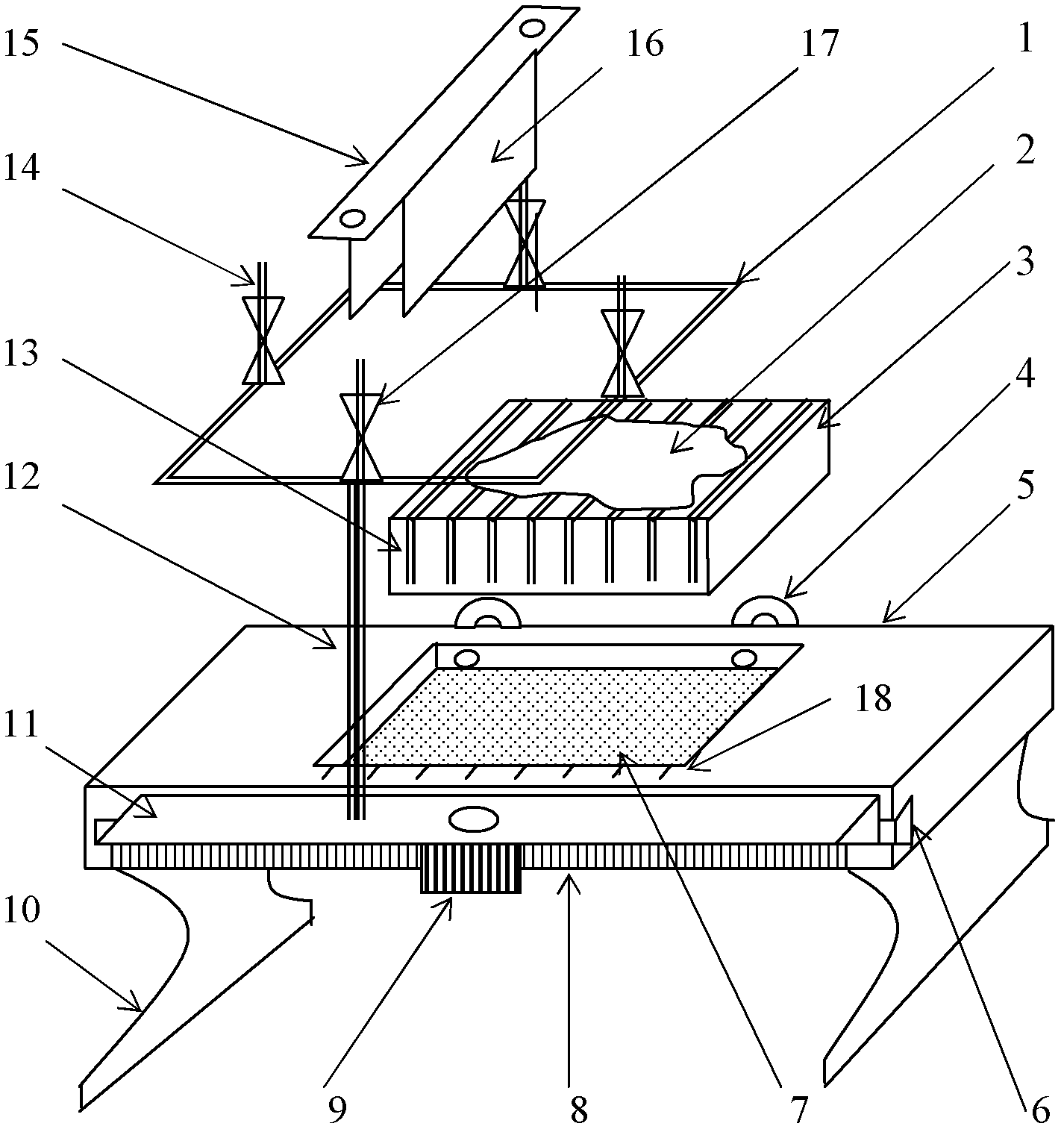 Device used for rat brain tissue slicing and layering