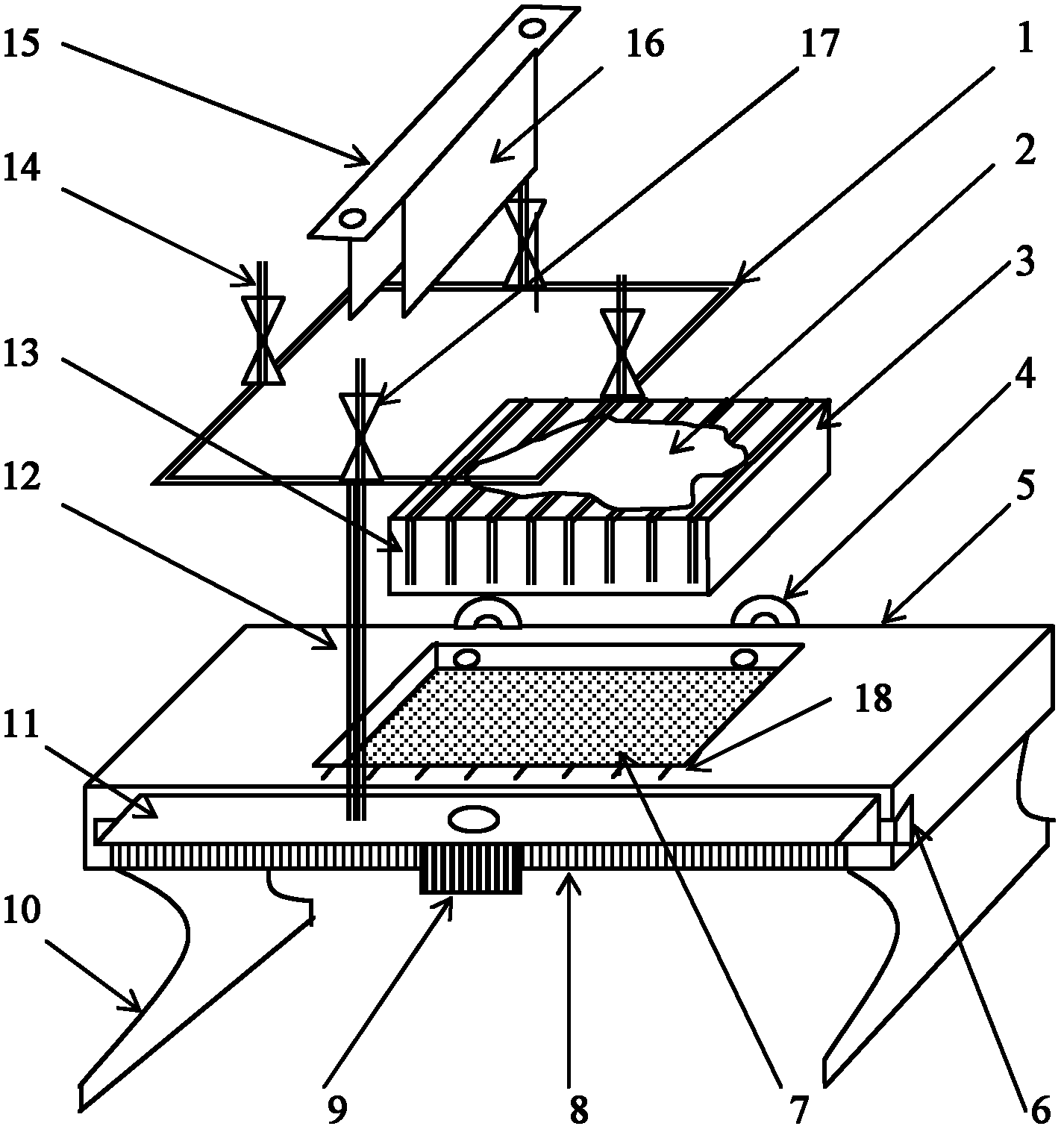 Device used for rat brain tissue slicing and layering