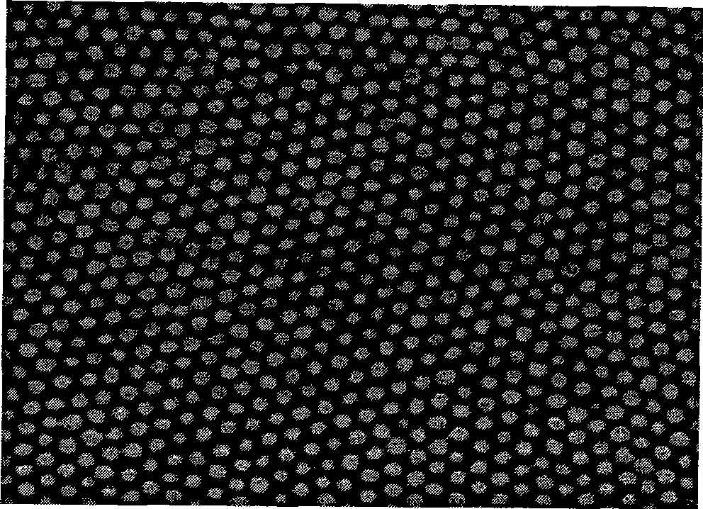 Preparation of inorganic silicon dioxide nano template