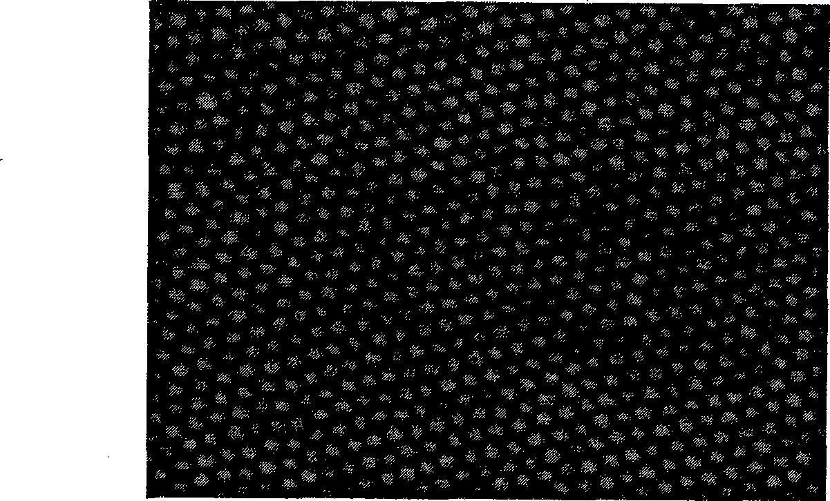 Preparation of inorganic silicon dioxide nano template