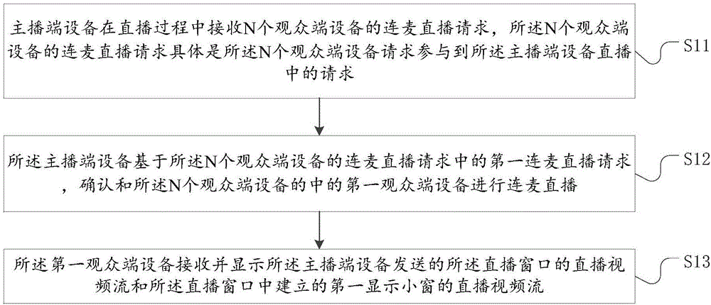 Network broadcast method, anchor side device and audience side device