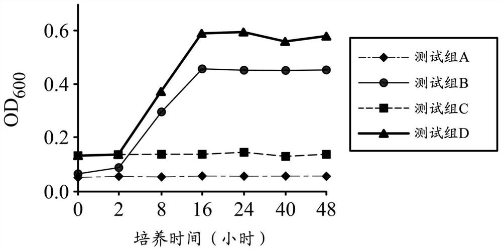 Application and treatment of water extract or fermented product of Gracilariaceae plants and/or medicinal composition for alleviating neurological diseases or health food for alleviating neurological diseases