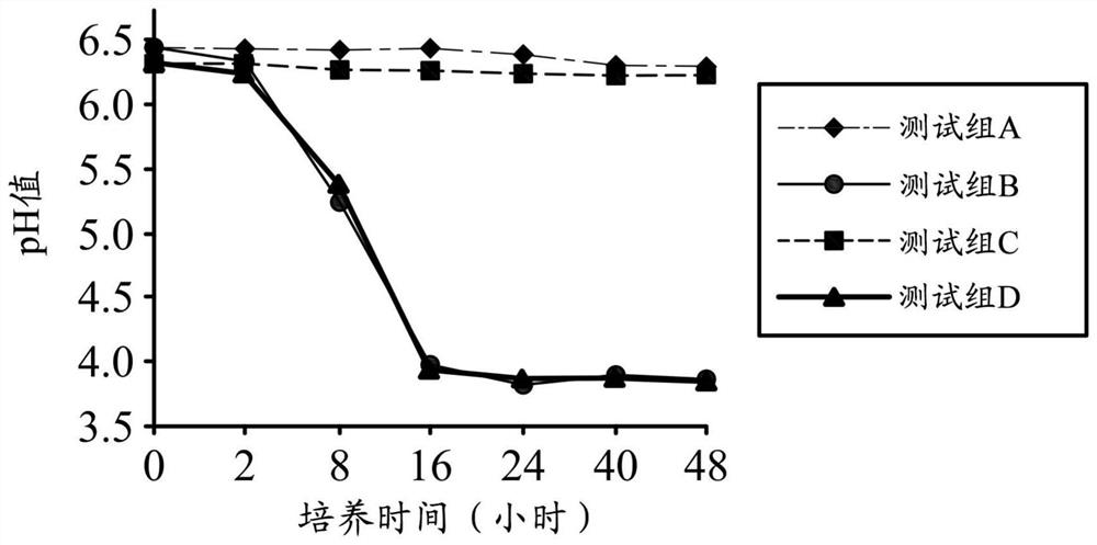 Application and treatment of water extract or fermented product of Gracilariaceae plants and/or medicinal composition for alleviating neurological diseases or health food for alleviating neurological diseases