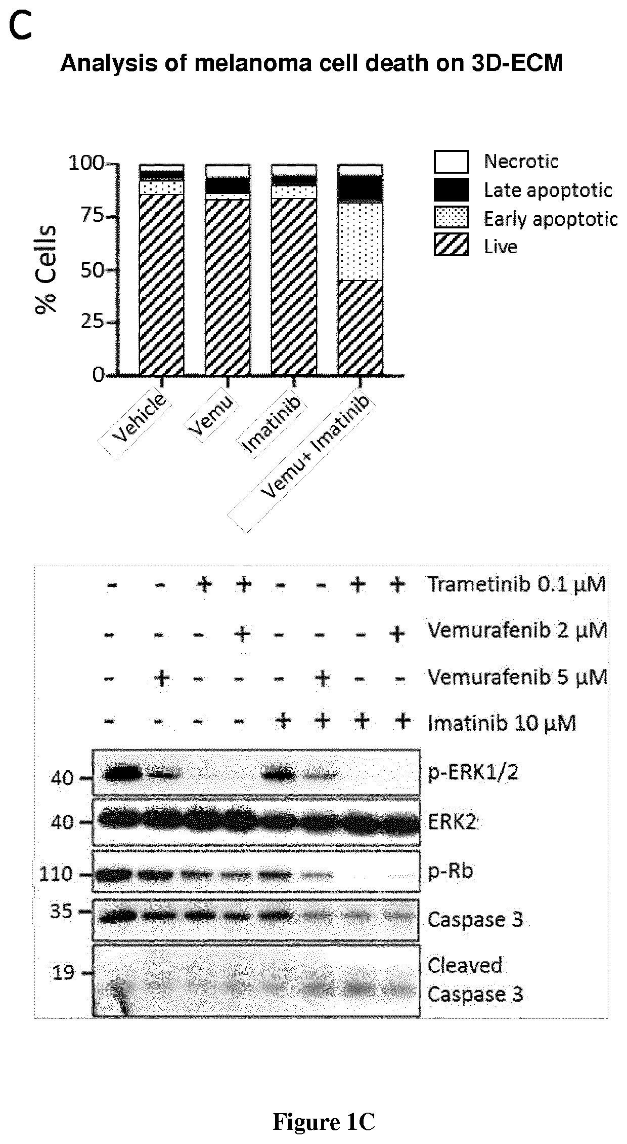 Compositions for treating melanoma