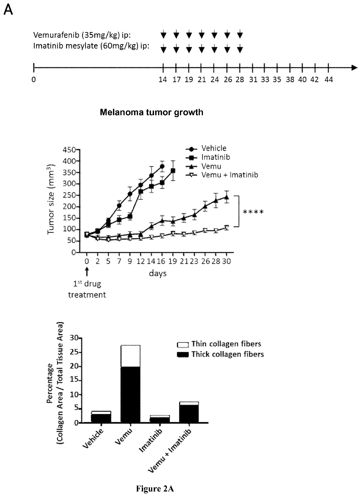 Compositions for treating melanoma