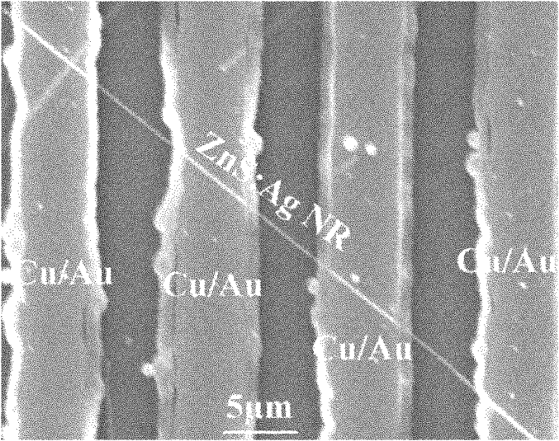 Electrode for realizing ohmic contact with p-type ZnS (zinc sulfide) quasi-one-dimensional nanometer material and preparation method for electrode