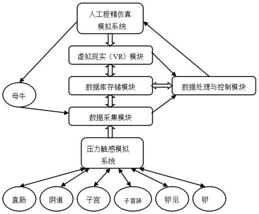 Cow rectum examination and artificial insemination analogue simulation system based on VR technology