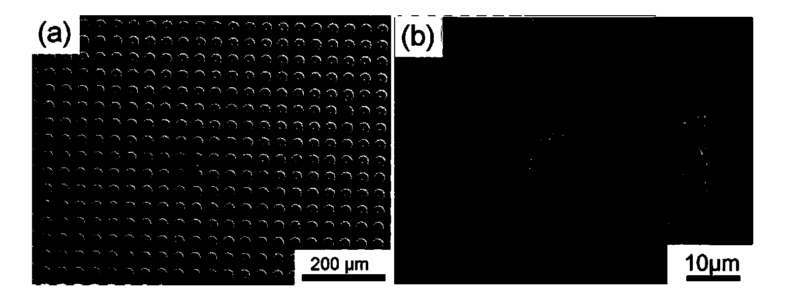 Preparation method for shape-controllable silver nanosheet assembly structure array and application of shape-controllable silver nanosheet assembly structure array