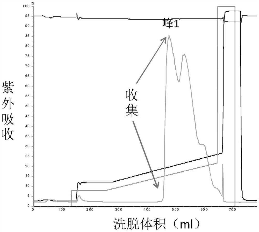 PEG modification of medicinal kininogenase and its preparation method and application