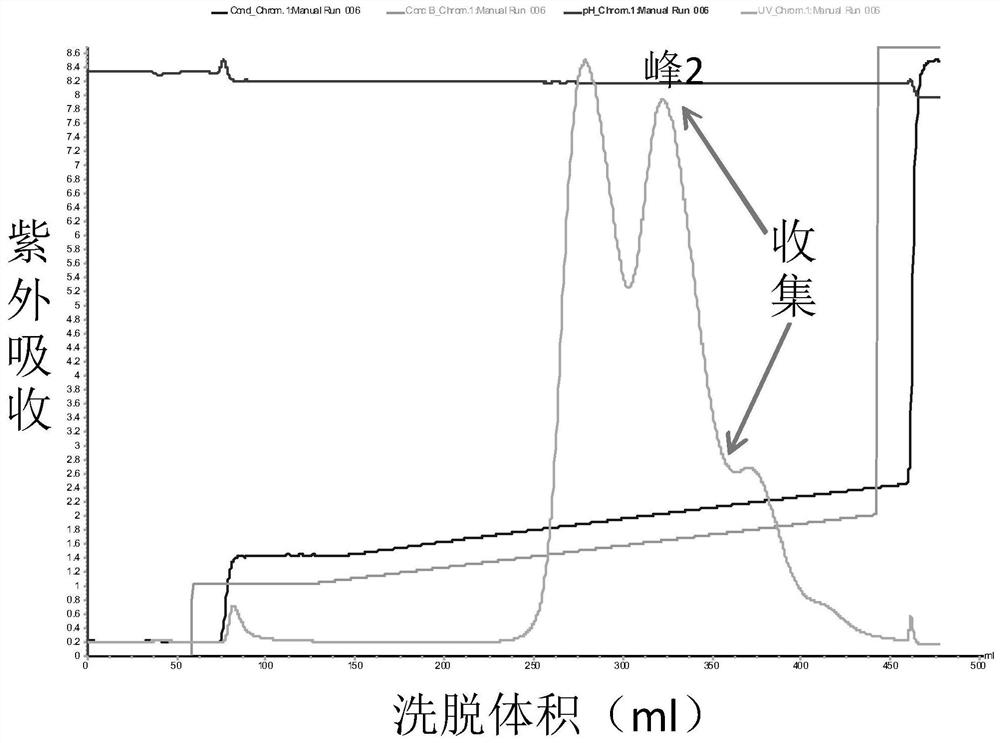 PEG modification of medicinal kininogenase and its preparation method and application