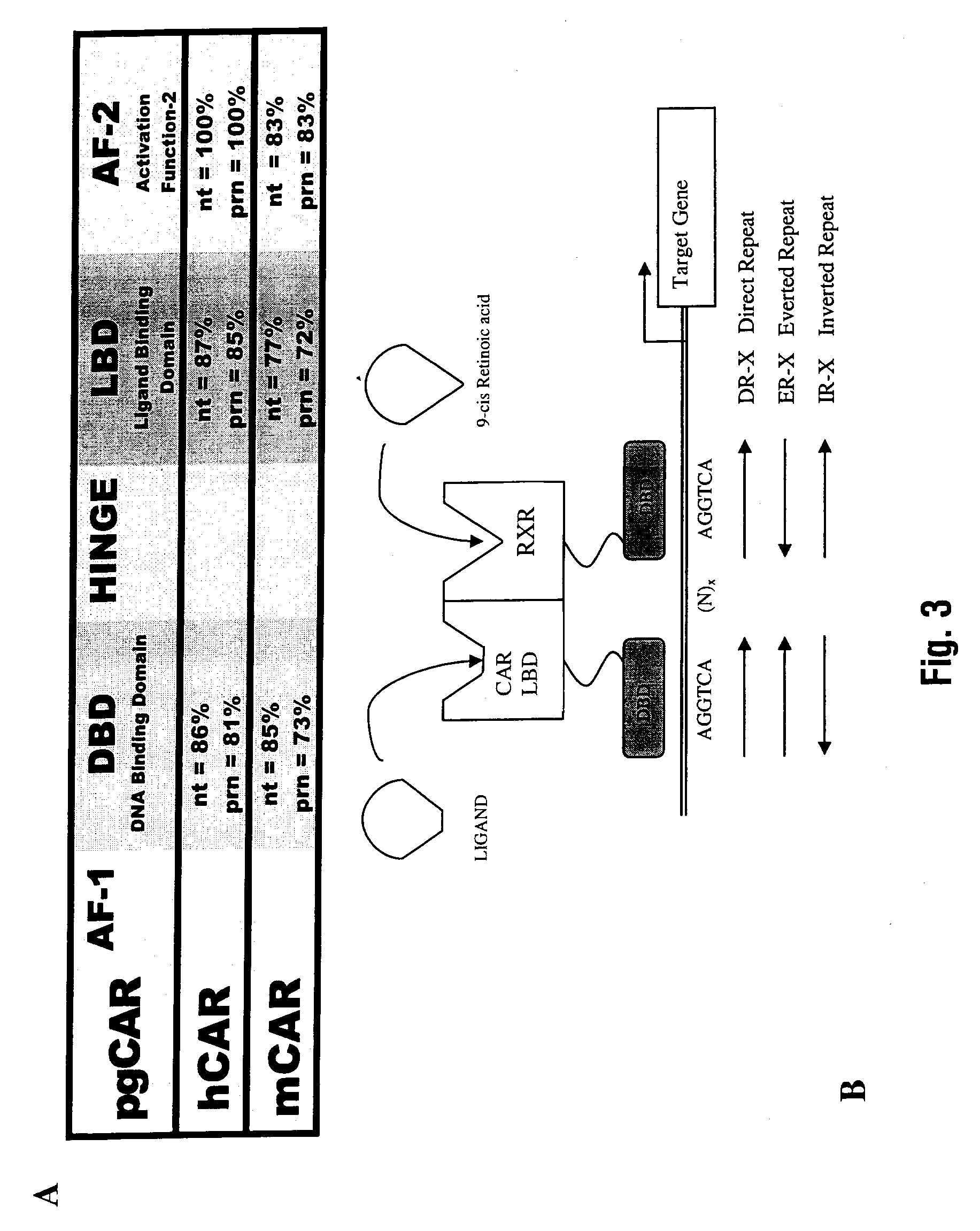 Method of detecting and reducing boar taint using nuclear receptors