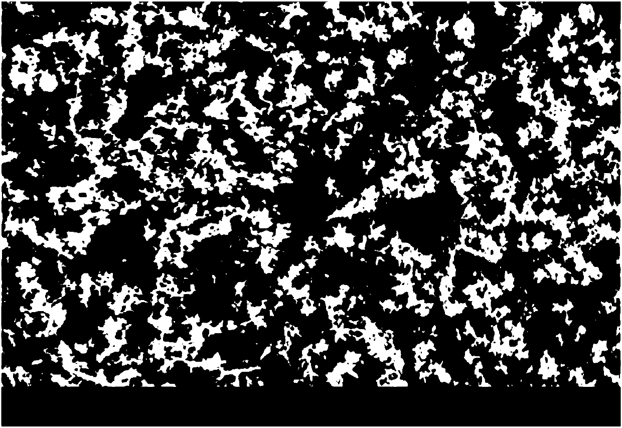 A kind of preparation method of nife2o4/sno2 composite photocatalyst