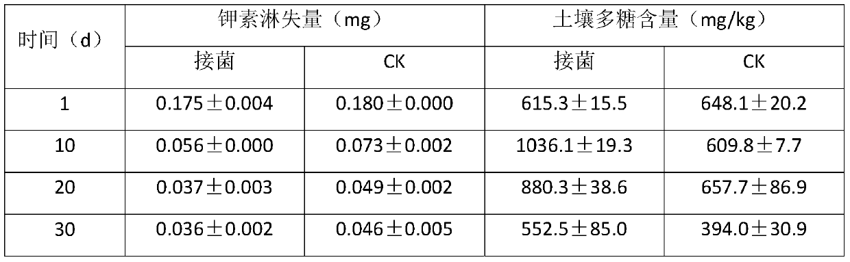 New application of Rhizobia strain w33