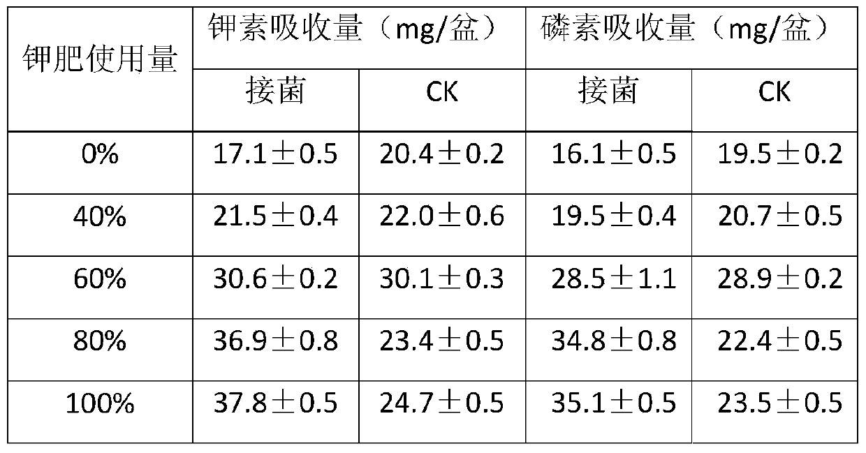 New application of Rhizobia strain w33