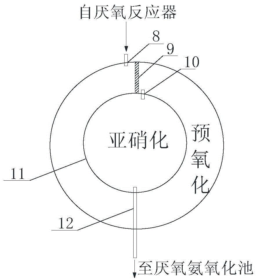 Culture wastewater efficient degrading and denitrifying treatment system and treatment method thereof