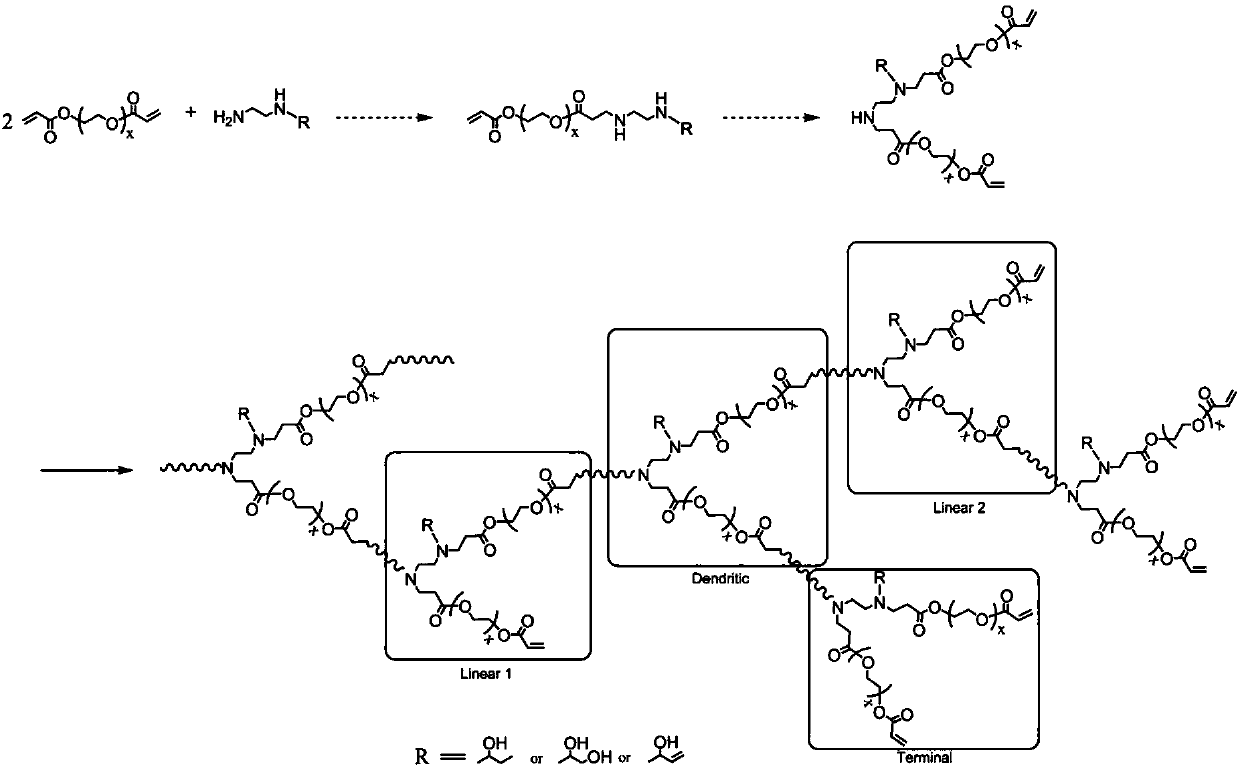 Hyperbranched poly (ester-amine) containing functional groups on both surface and interior and preparation method of hyperbranched poly (ester-amine)