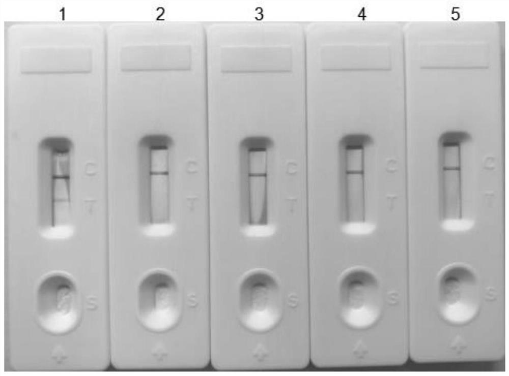 A bovine rotavirus chimeric antigen and a colloidal gold immunochromatographic test paper card for detecting bovine rotavirus antibodies