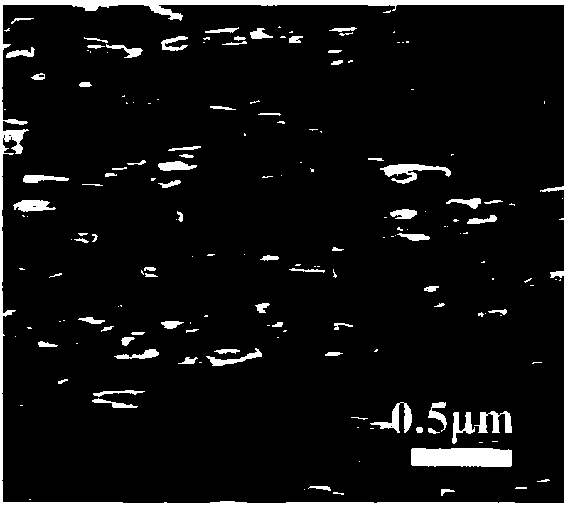 Method for preparing ultrafine grained high performance anisotropic Nd-Fe-B permanent magnet