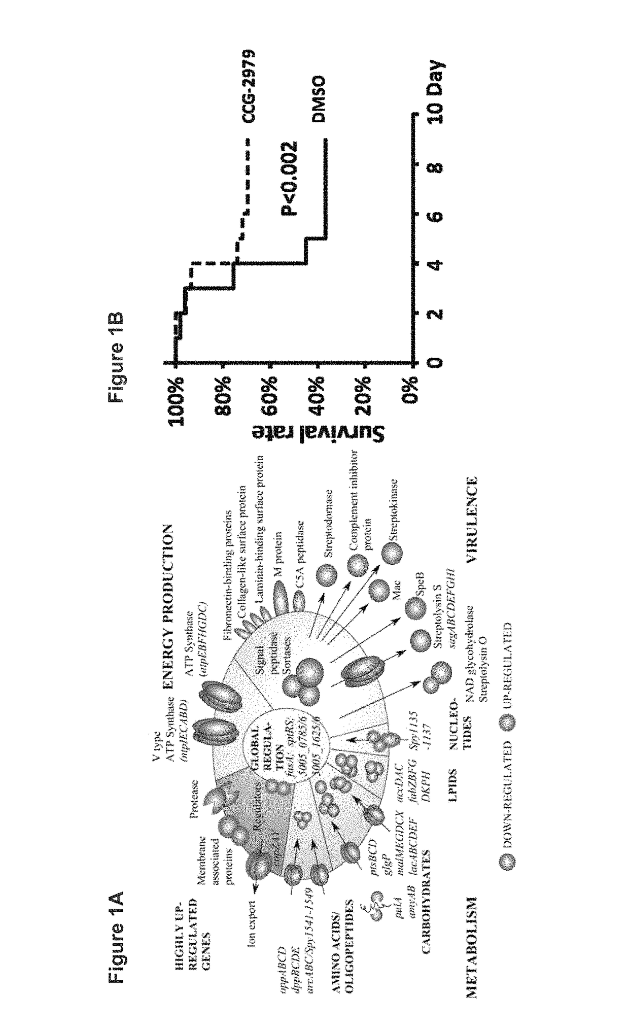 Methods and compositions for treating bacterial infection