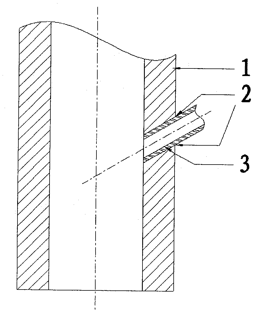 RH injection refining device and application thereof