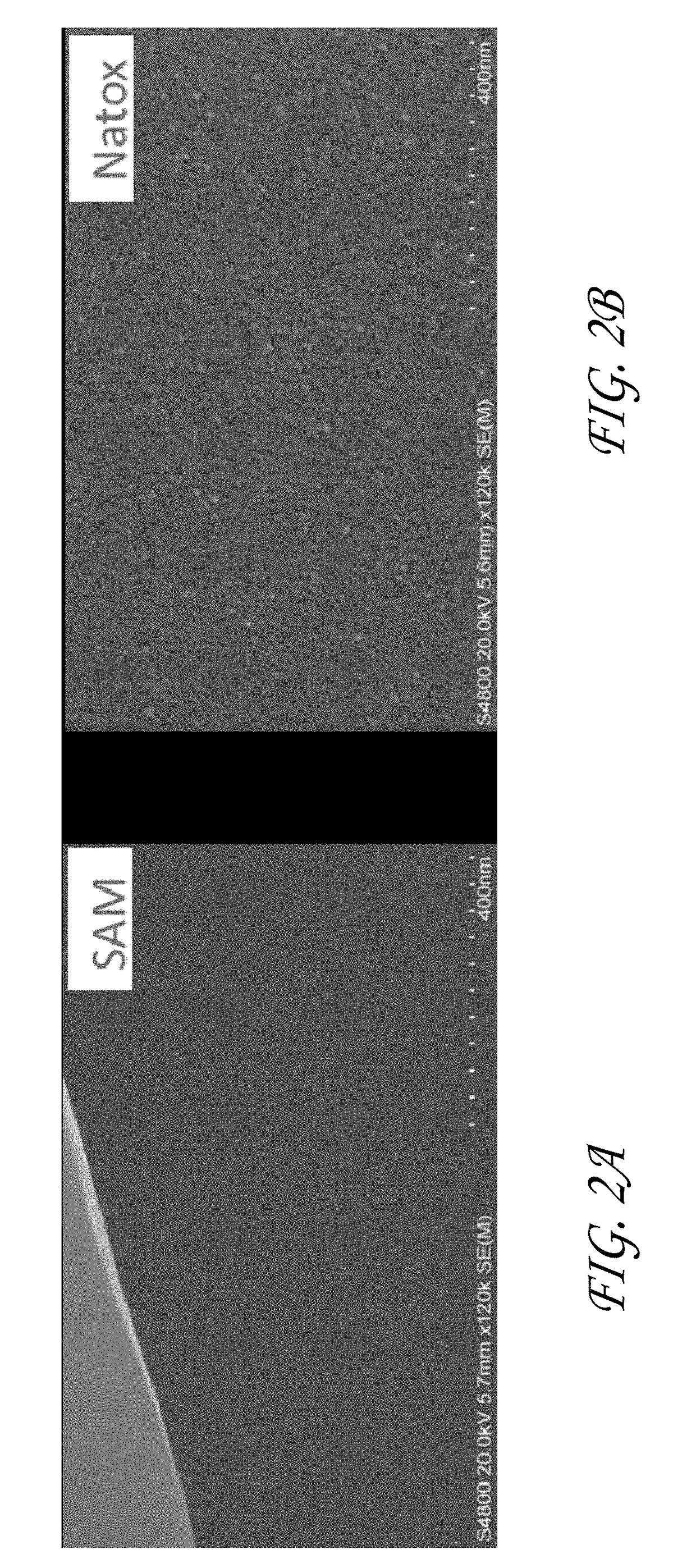 Selective deposition using hydrophobic precursors