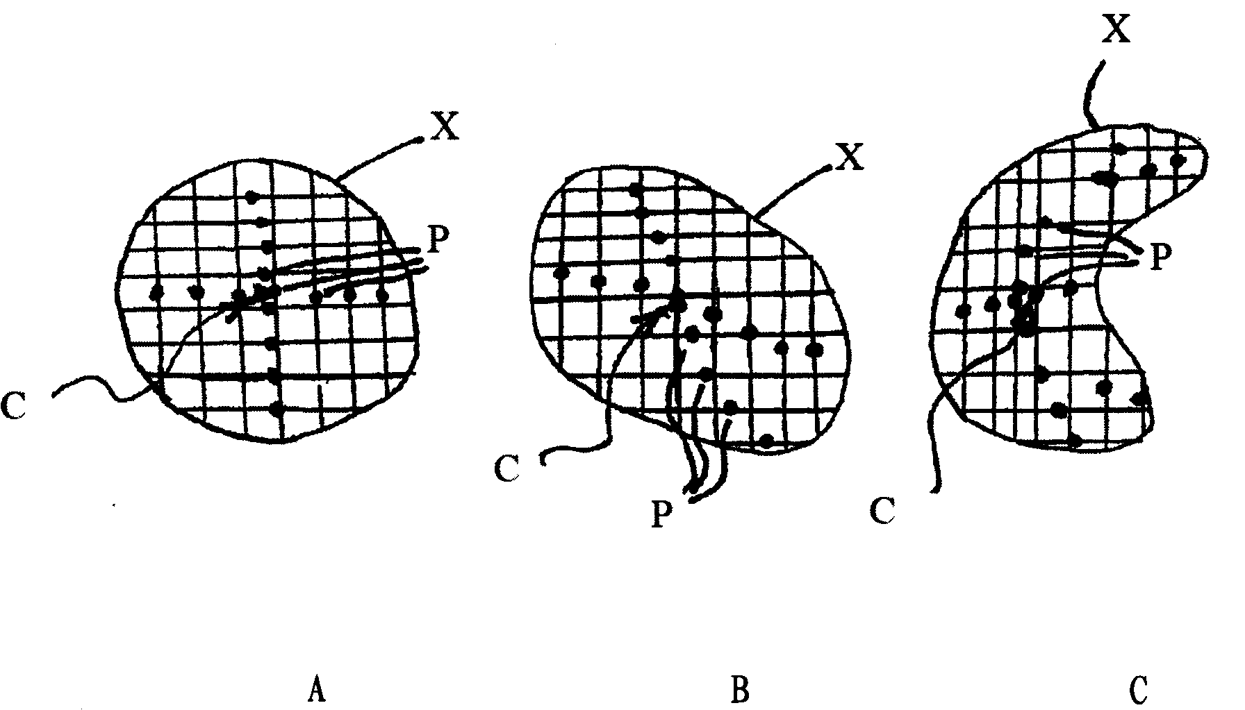 Methods for determining pedicle base circumference, pedicle isthmus and center of the pedicle isthmus