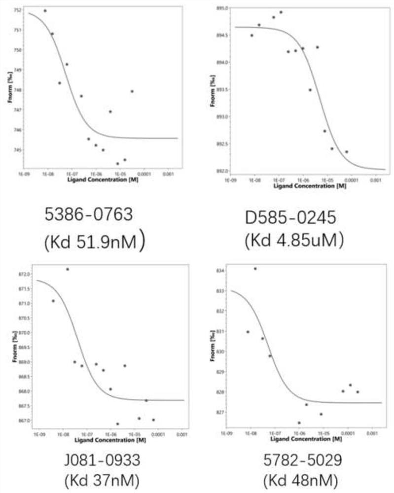 Pharmaceutical application of polyribonucleotide nucleoside transferase 1 inhibitor