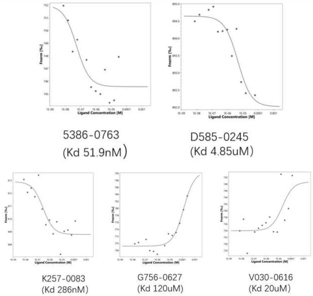 Pharmaceutical application of polyribonucleotide nucleoside transferase 1 inhibitor