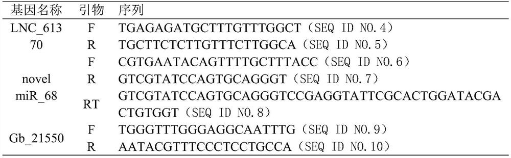 Ginkgo long-chain non-coding RNA and application thereof to bilobalide biosynthesis