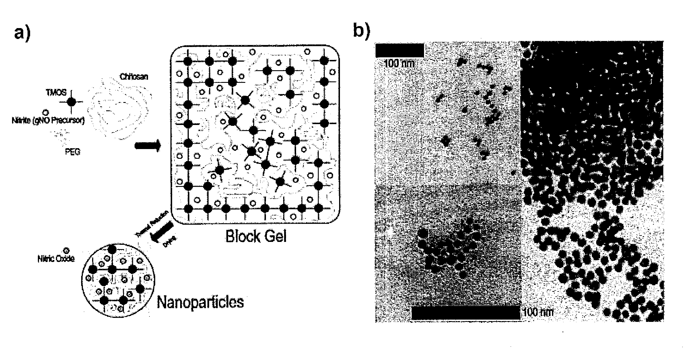 Sustained release nitric oxide from long lived circulating nanoparticles