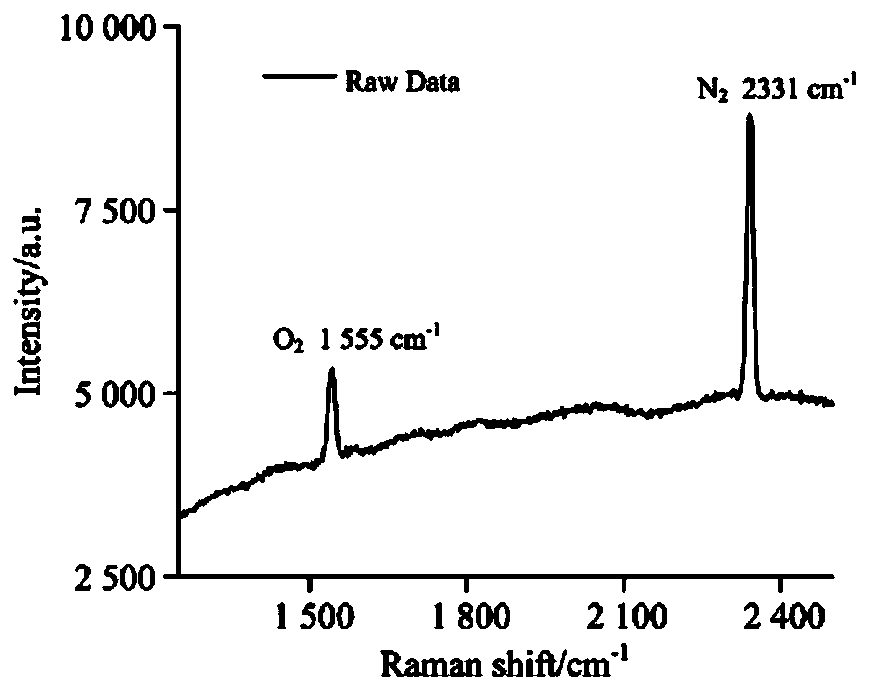 Raman Spectroscopy Liquid Detection Method Based on Laser Frequency Doubling and Double Hollow-core Fiber