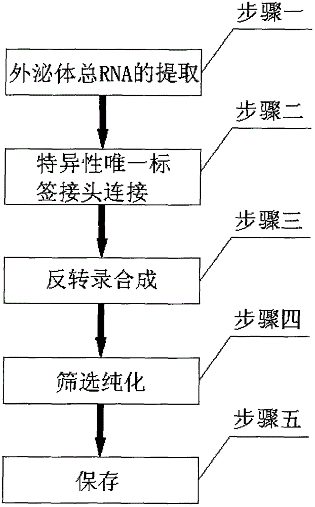 Method for accurately obtaining exosome miRNA (micro Ribonucleic Acid)