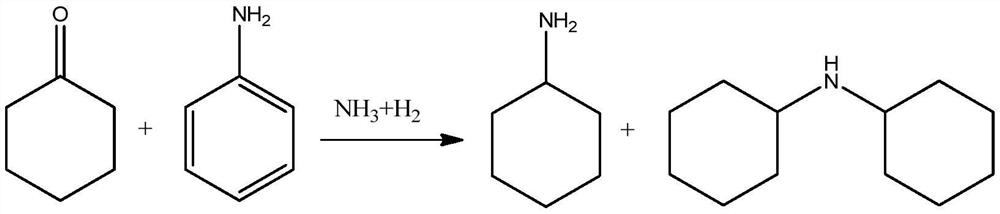 Process for co-production of cyclohexylamine and dicyclohexylamine and catalyst system for the process