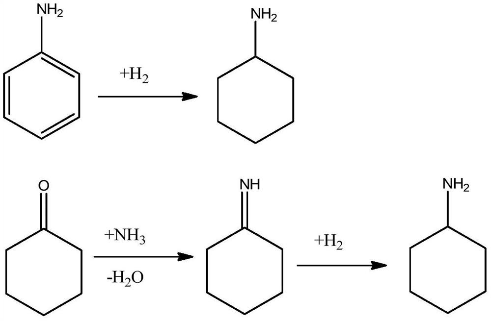 Process for co-production of cyclohexylamine and dicyclohexylamine and catalyst system for the process