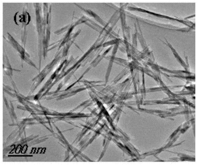 Controllable preparation method of Ag-manganese monoxide nanorods