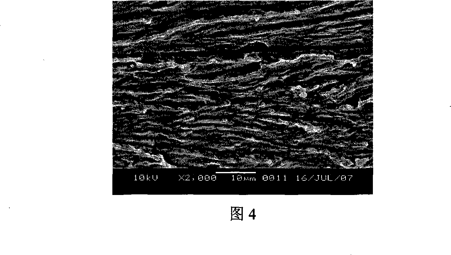 Method for improving polyglycol plasticization polylactic acid strength of materials capability by process