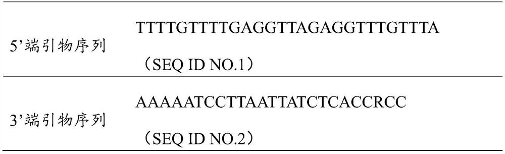 DNA methylation marker and application thereof