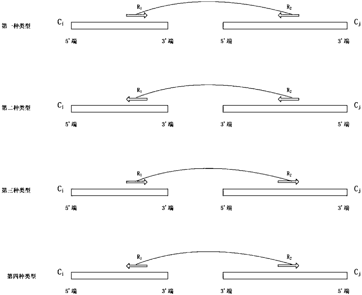 A scaffolding method based on the statistical characteristics of the double-ended read insert size