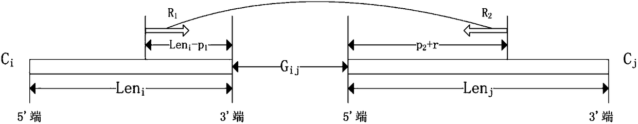 A scaffolding method based on the statistical characteristics of the double-ended read insert size