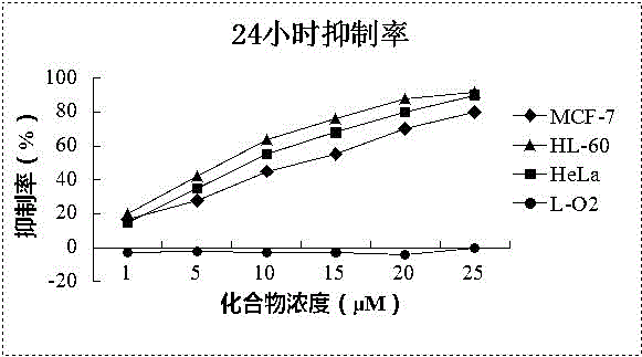 Application of labdane-type diterpene Leoleorin H in preparation of anti-tumor medicament