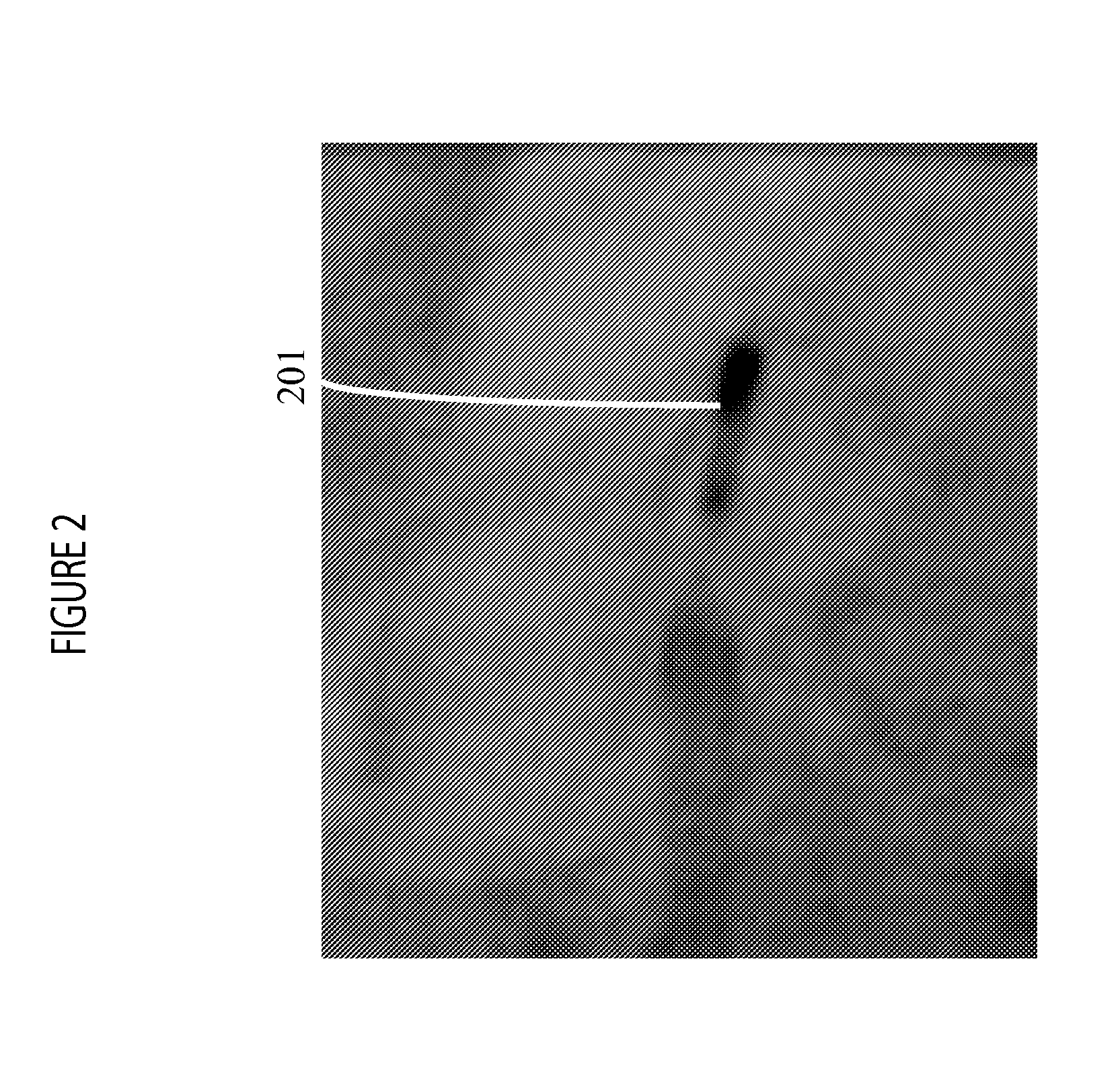 System for Detecting Rotation Angle of a Catheter in an X-ray Image