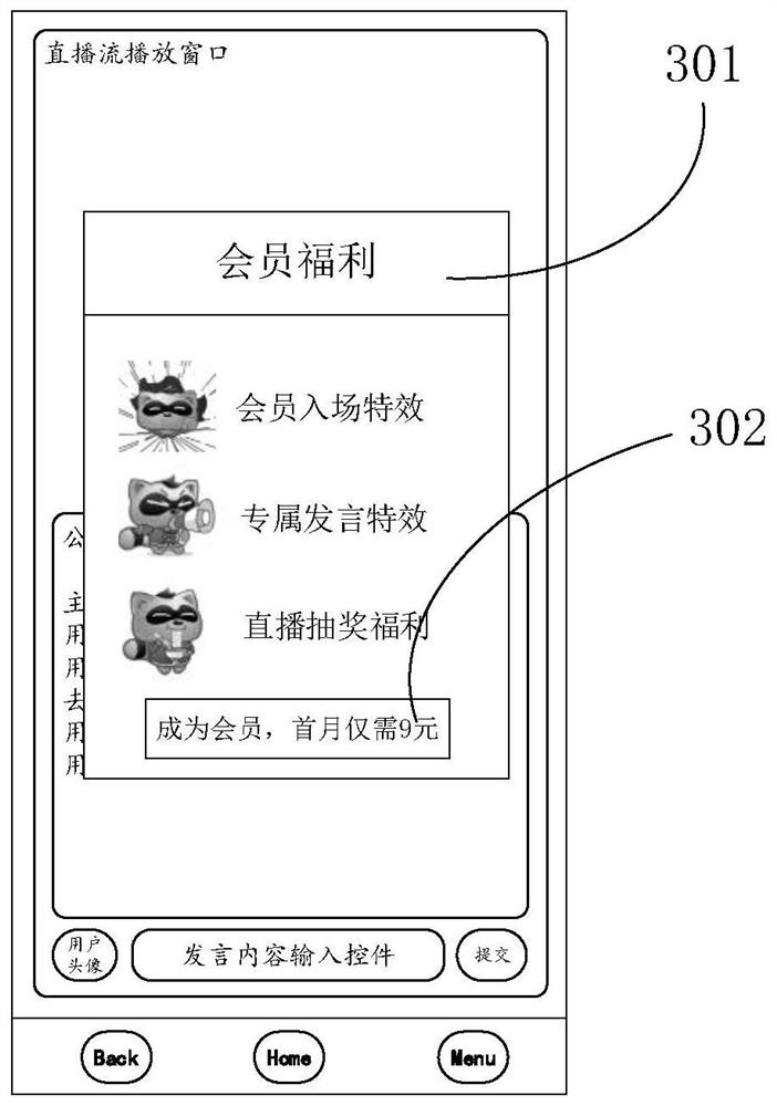 Live broadcast user identity detection method and device, equipment, medium and product