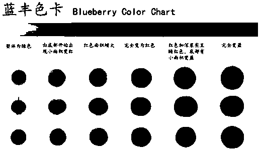 Color card for determining maturity level of blueberry fruit