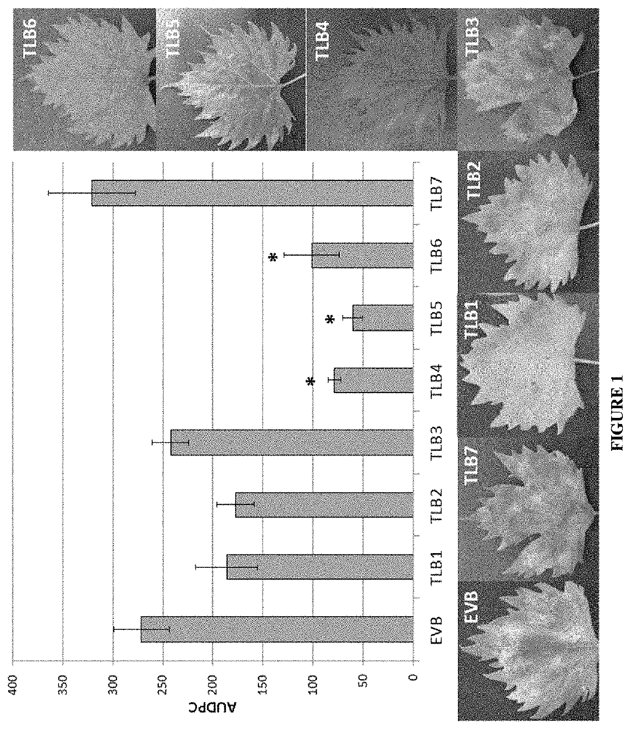 Vitis Vinifera with Reduced MLO Expression and Increased Resistance to Powdery Mildew