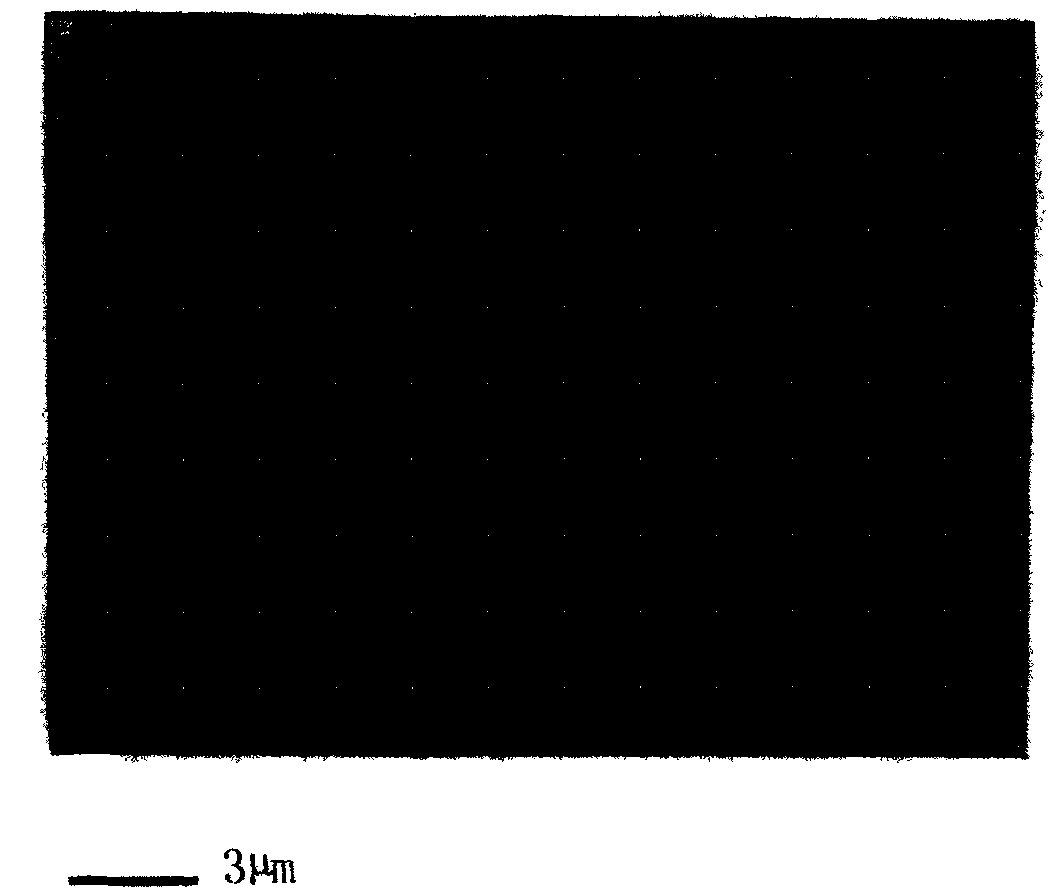 Preparation method of DNA guided nano granule tree-shape wire