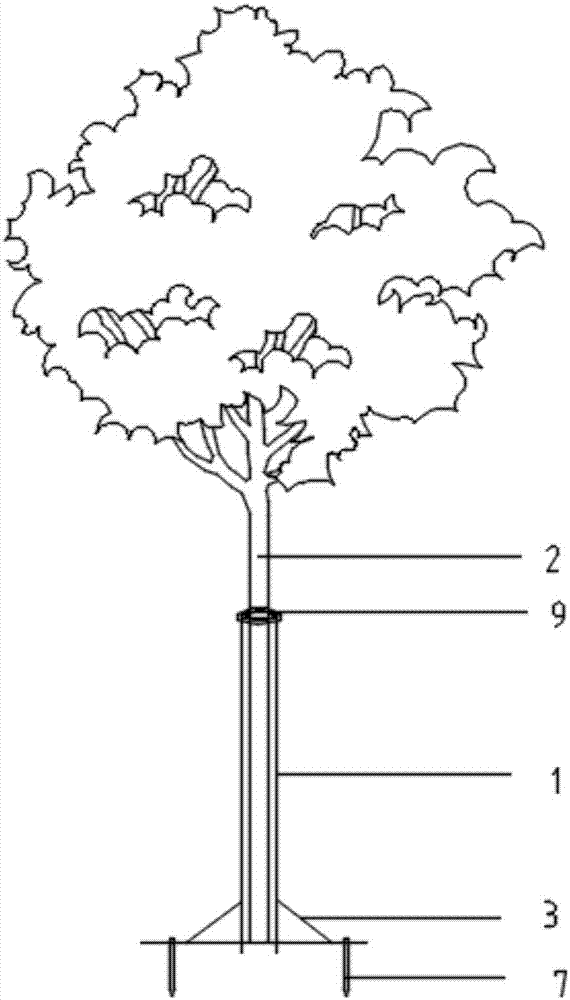Tree protecting barrel device for straightening and fixing garden nursery stocks